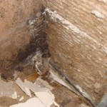 45_25_Mould2